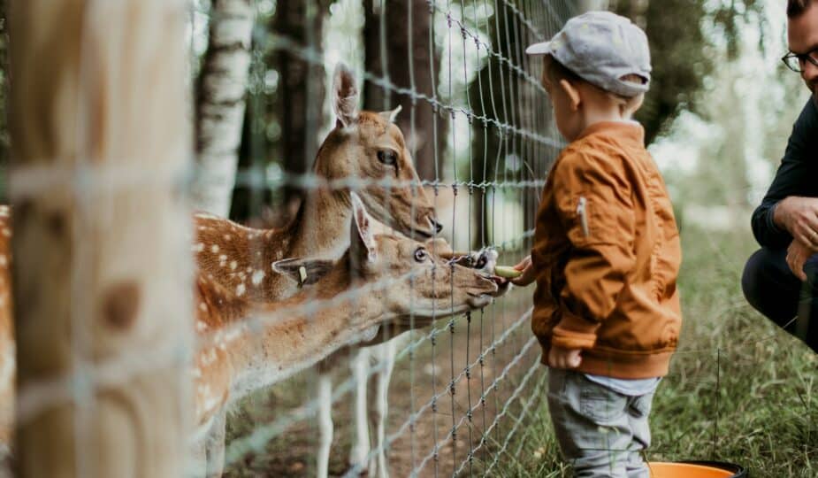 parc zoologique